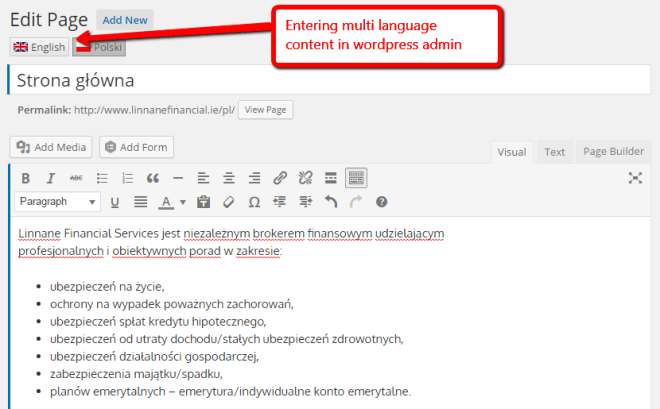 Website Translations
