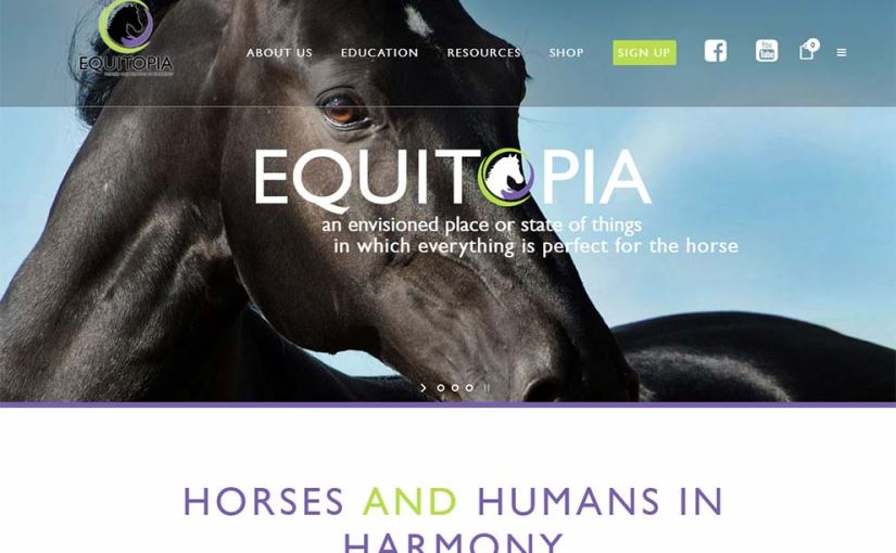 Equitopia Center Upgrade